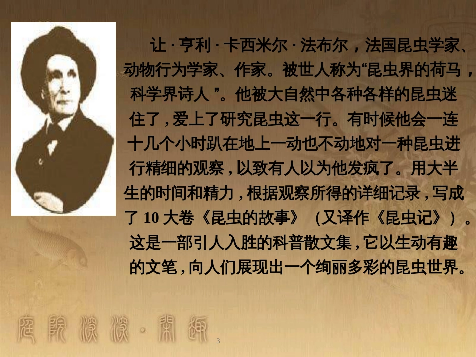 四年级语文上册 第四单元 蝉课件5 鄂教版_第3页