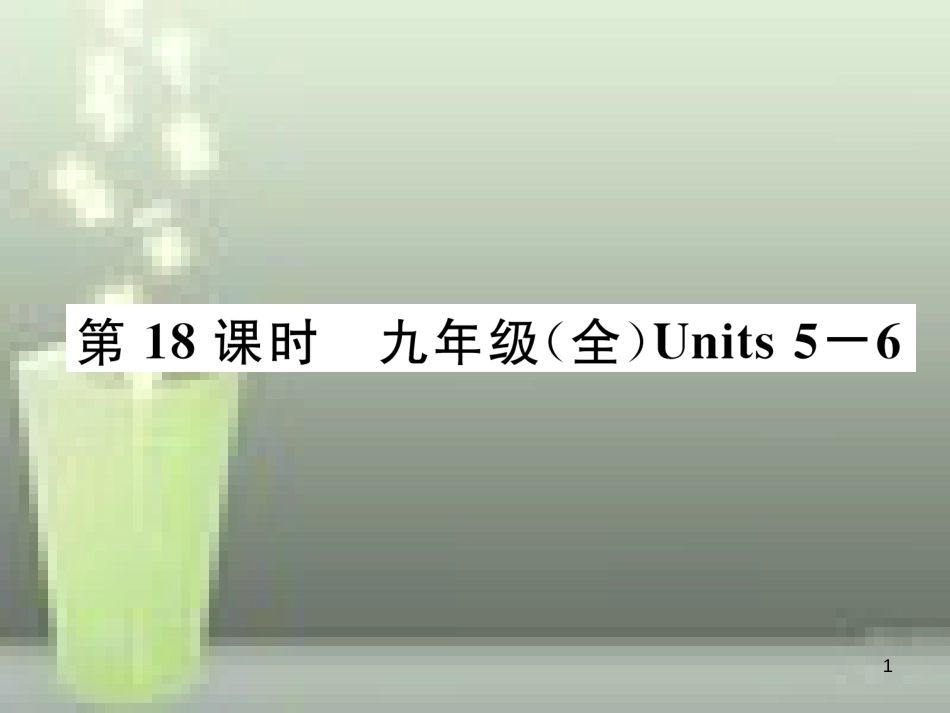 中考英语特训总复习 第一部分 教材知识梳理篇 第18课时 九全 Units 5-6优质课件_第1页