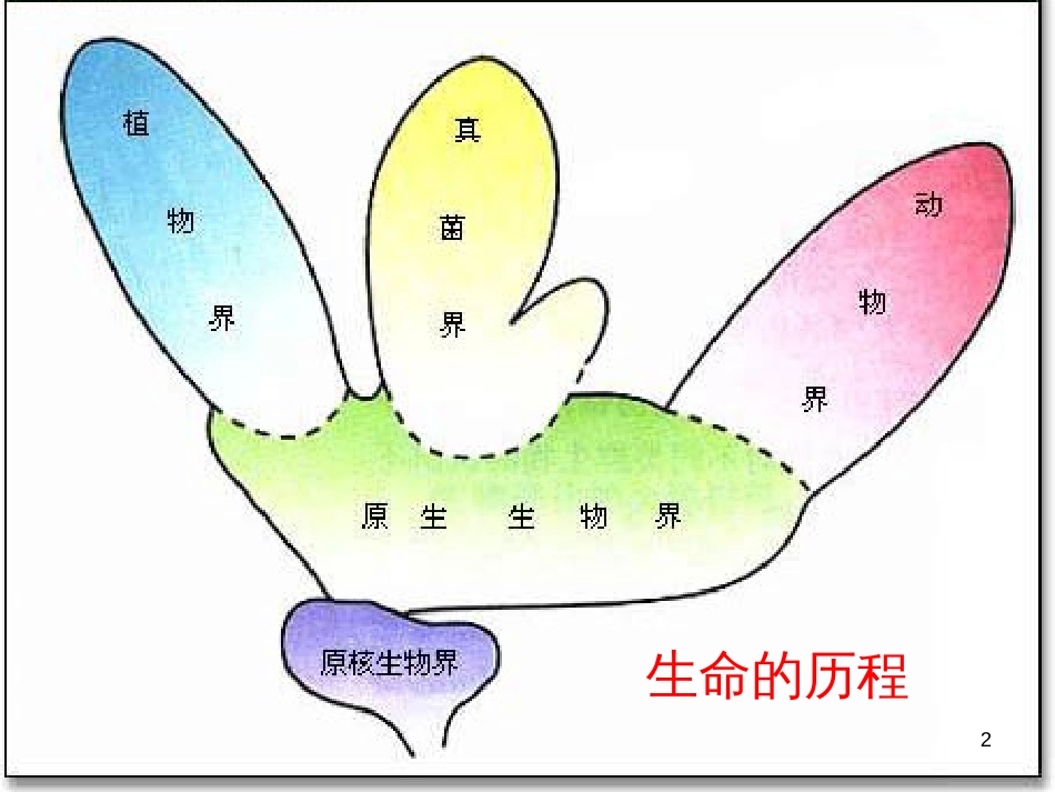 高中生物 第7章 第2节 现代生物进化理论的主要内容课件 新人教版必修2 (1)_第2页