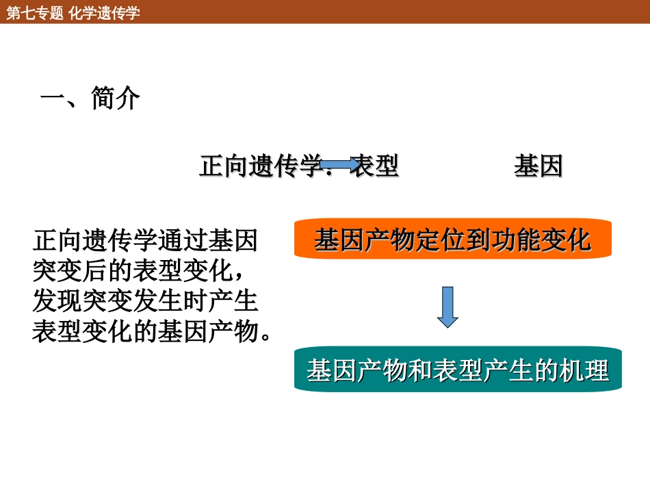 (18)--7.2 正向遗传学化学生物学导论_第2页