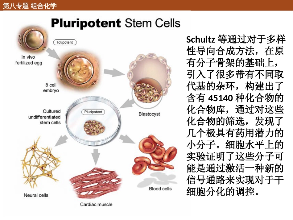 (22)--8.4 组合化学和多样性导向合成在药物研发中的应用_第2页