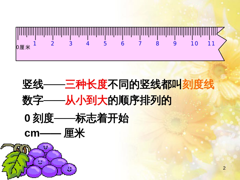 二年级数学上册 5.2 认识厘米课件1 苏教版_第2页