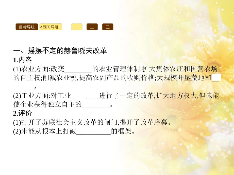 高中历史 专题七 苏联社会主义建设的经验与教训 7.3 苏联社会主义改革与挫折课件 人民版必修2_第3页