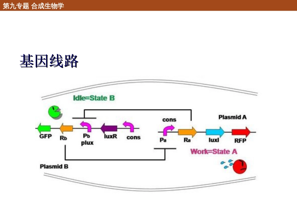 (24)--9.3 合成生物学的研究方向_第2页