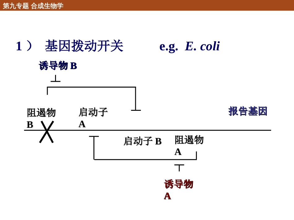 (24)--9.3 合成生物学的研究方向_第3页