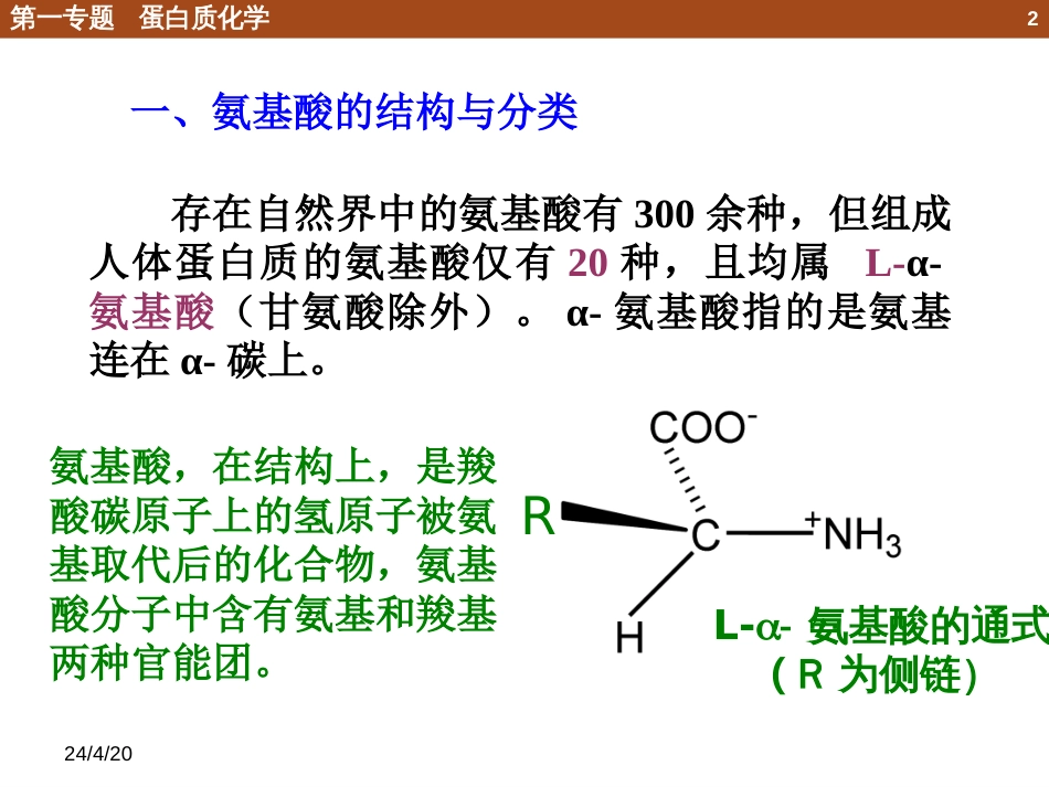 (28)--1.2.1 氨基酸结构与分类_第2页