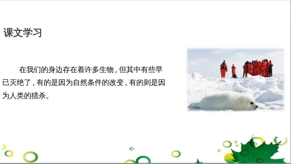 八年级语文上册 名著常识课件 语文版 (168)_第3页
