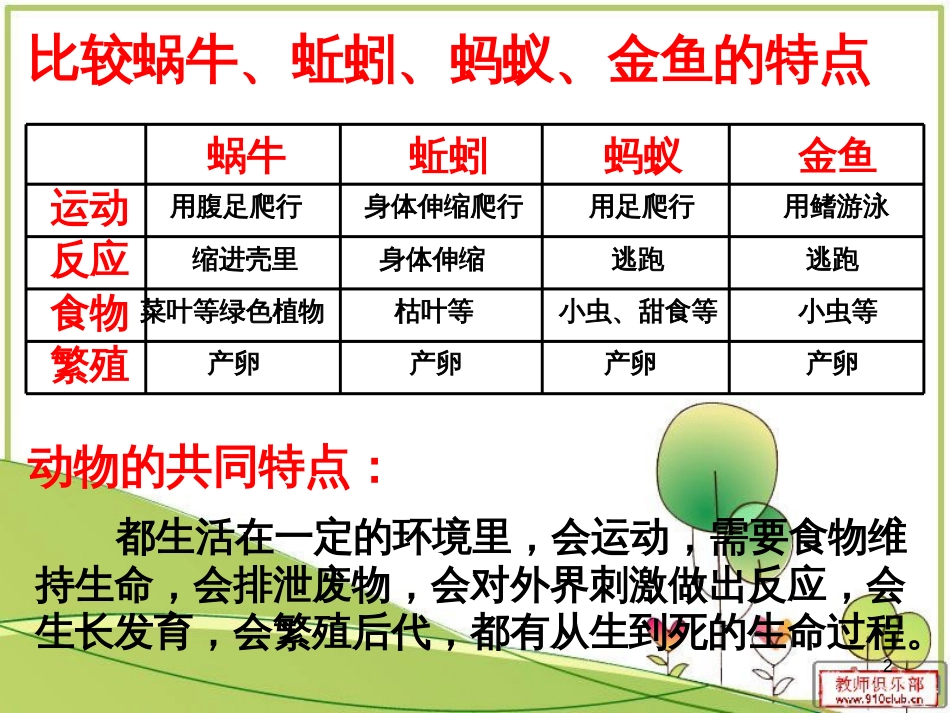 三年级科学上册 第二章 第1课 动物的食物课件1 新人教版 (56)_第2页