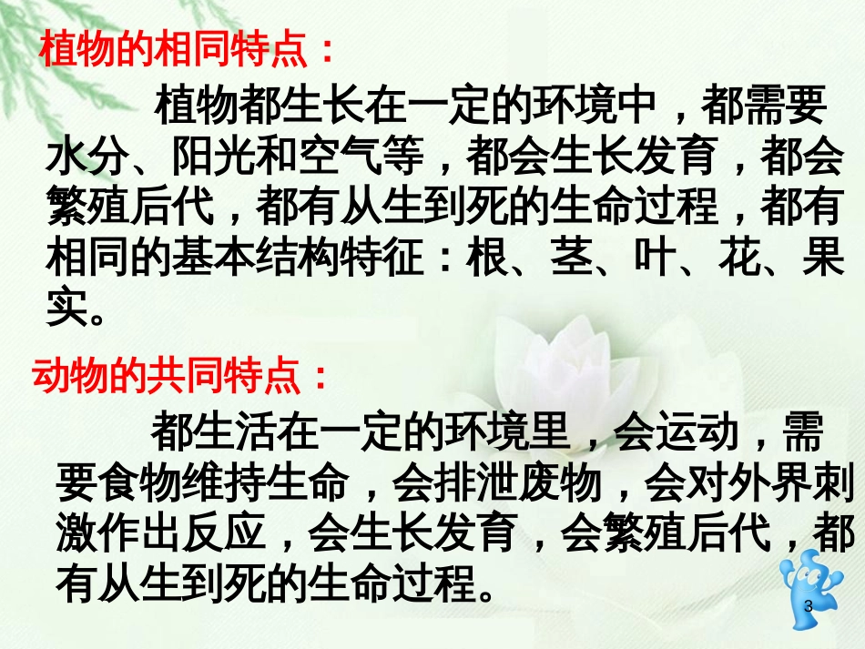 三年级科学上册 第二章 第1课 动物的食物课件1 新人教版 (56)_第3页