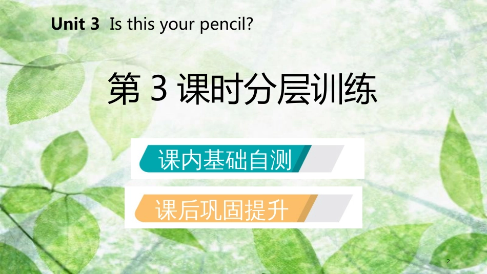 七年级英语上册 Unit 3 Is this your pencil（第3课时）分层训练优质课件 （新版）人教新目标版_第2页