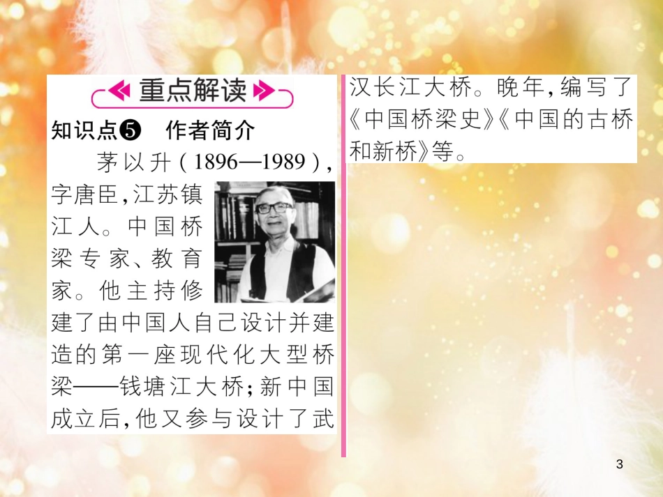 （遵义专版）八年级语文上册 第五单元 17 中国石拱桥作业课件 新人教版_第3页