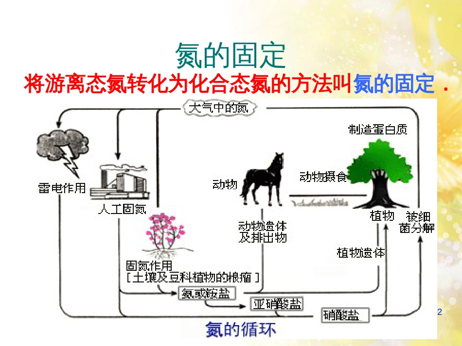 高中化学 第一章 走进化学工业 1.2 人工固氮技术—合成氨课件 新人教版选修2_第2页