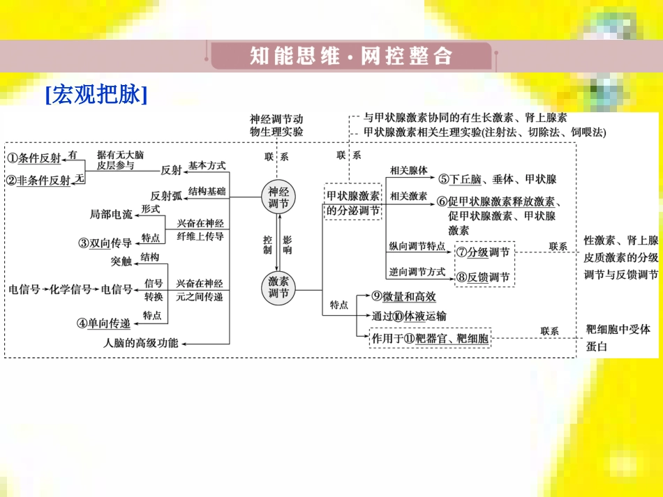 高中生物 第7章 第2节 现代生物进化理论的主要内容课件 新人教版必修2 (7)_第3页