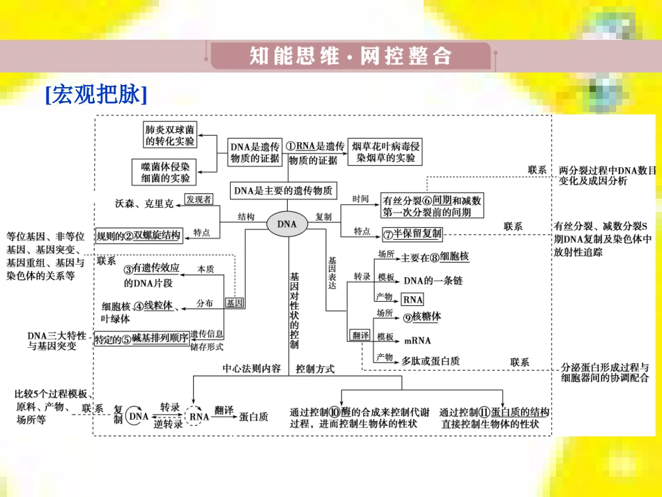 高中生物 第7章 第2节 现代生物进化理论的主要内容课件 新人教版必修2 (8)_第3页