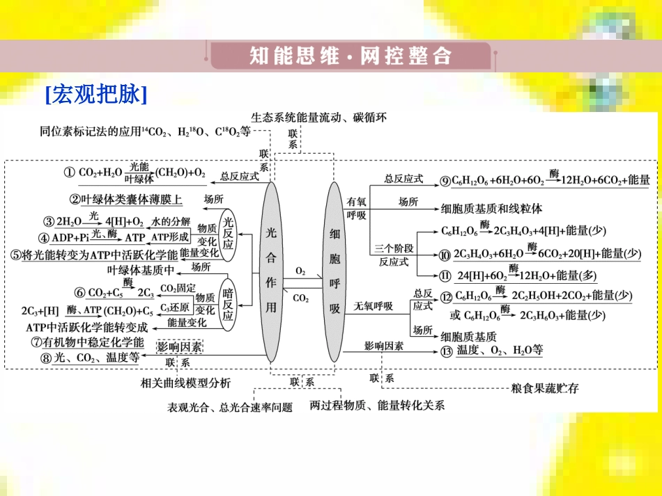 高中生物 第7章 第2节 现代生物进化理论的主要内容课件 新人教版必修2 (19)_第3页