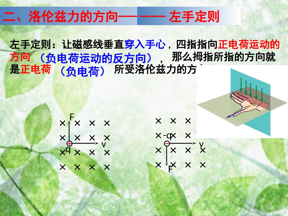 云南省峨山彝族自治县高中物理 第三章 磁场 3.5 磁场对运动电荷的作用-洛伦兹力课件 新人教版选修3-1_第3页