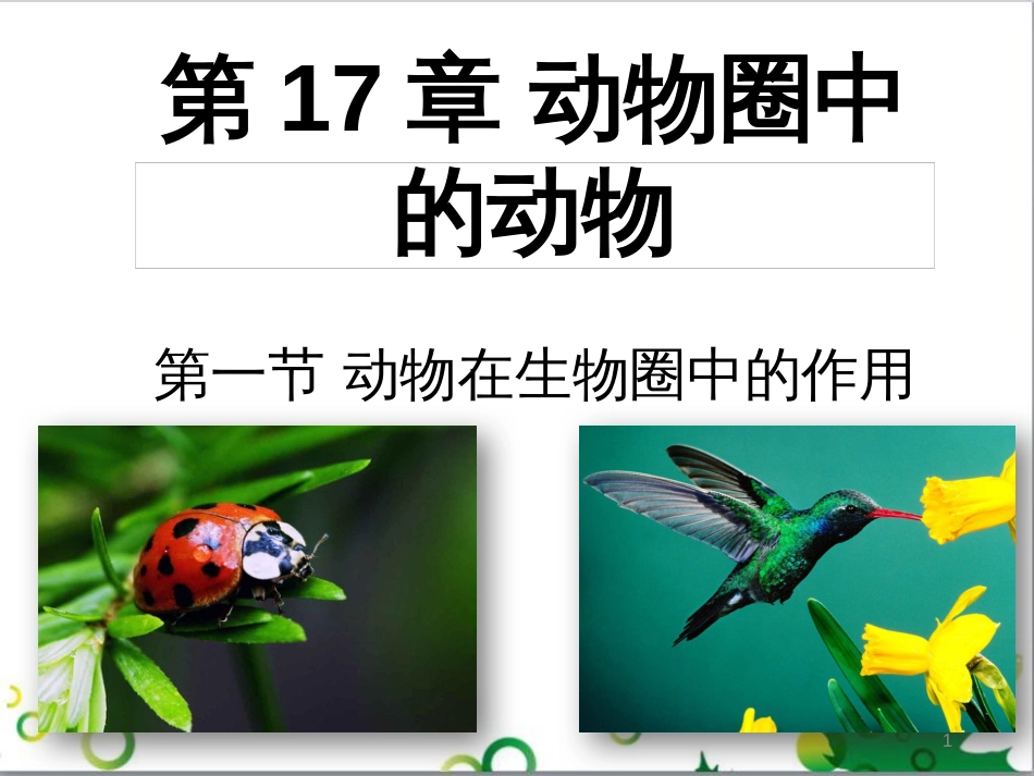 八年级生物上册 17.1《动物在生物圈中的作用》课件5 （新版）北师大版_第1页