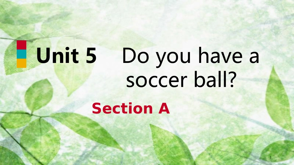 七年级英语上册 Unit 5 Do you have a soccer ball Section A优质课件 （新版）人教新目标版_第1页