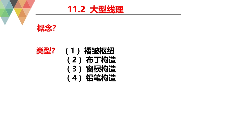 (52)--11.2构造地质学构造地质学_第1页