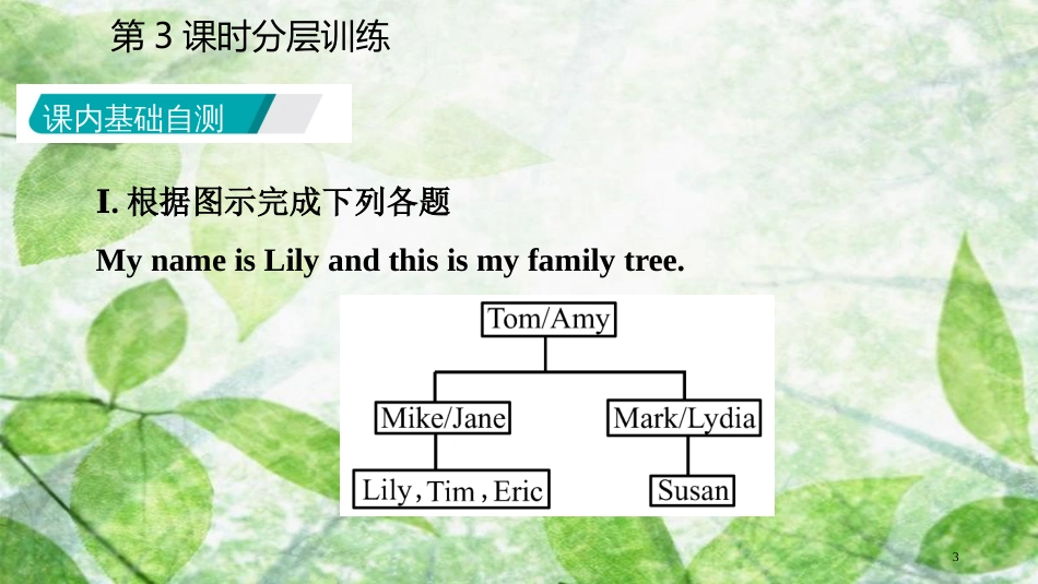 七年级英语上册 Unit 2 This is my sister（第3课时）分层训练优质课件 （新版）人教新目标版_第3页