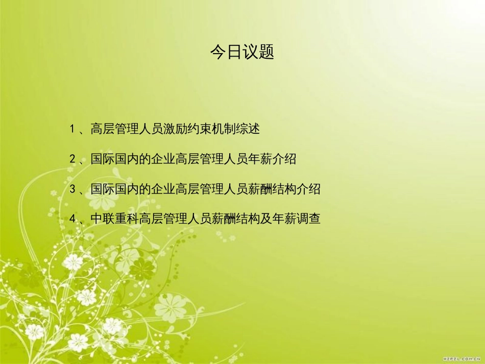 高层管理人员激励约束机制讲义(ppt 32页)_第2页