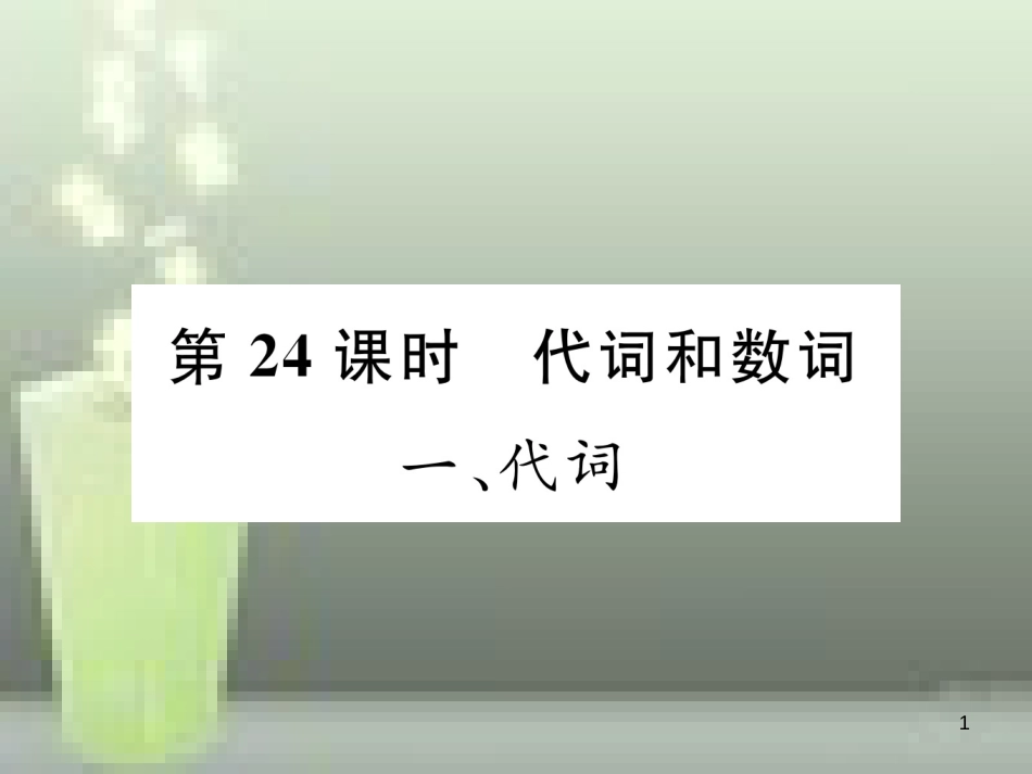 中考英语特训总复习 第二部分 语法专题突破篇 第24课时 代词和数词 一 代词（精讲）优质课件_第1页