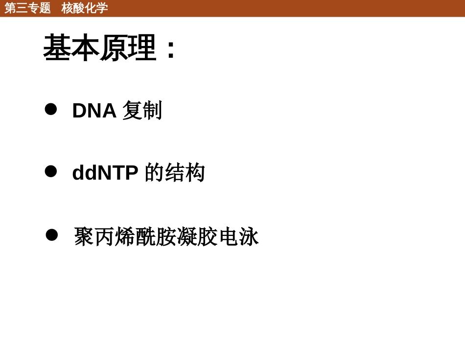 (60)--3.4.2 核酸的核苷酸序列测定_第2页