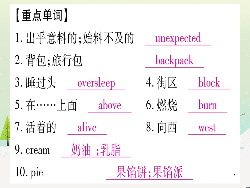 九年级数学下册 第1章 直角三角形的边角关系 1 (48)_第2页