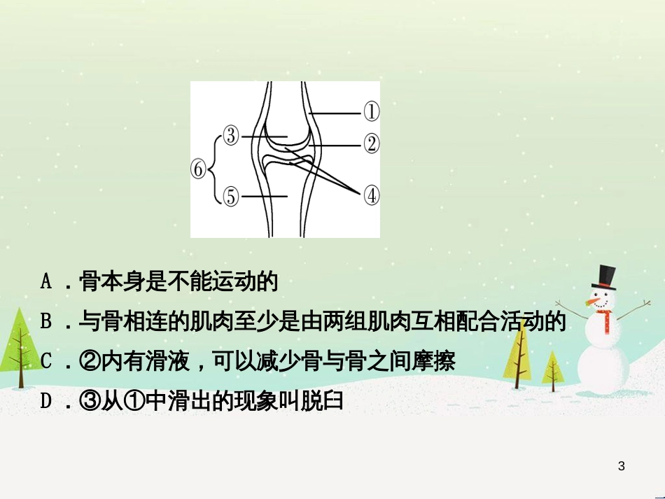 九年级数学下册 第1章 直角三角形的边角关系 1 (4)_第3页