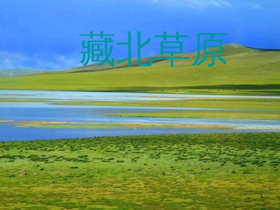 五年级语文上册 第四单元 藏北草原课件3 鄂教版_第1页