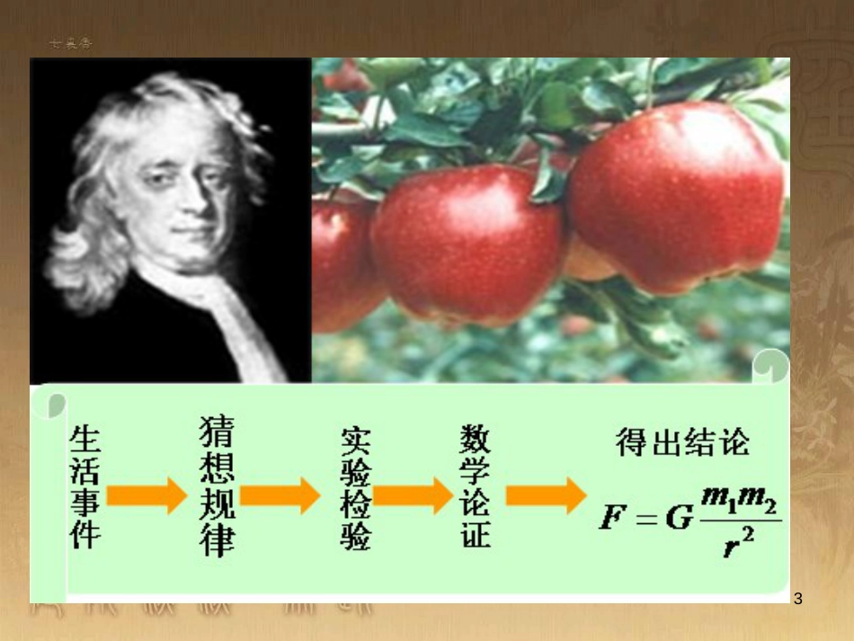 七年级生物上册 第二单元 第一章 第一二节综合课件 （新版）新人教版 (26)_第3页