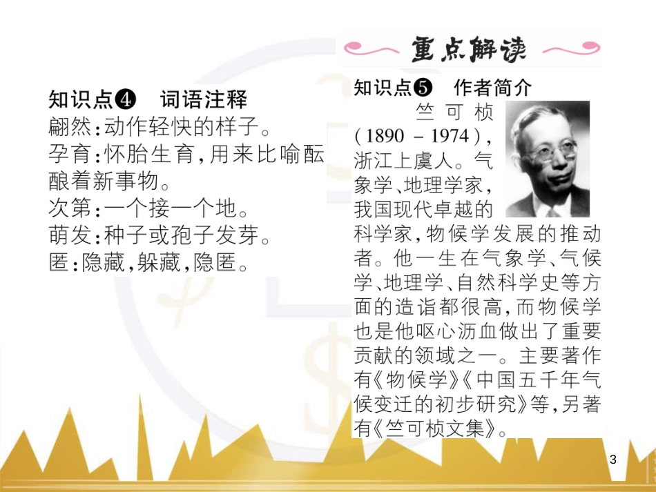 九年级英语上册 Module 11 Photos基础梳理课件 （新版）外研版 (1206)_第3页