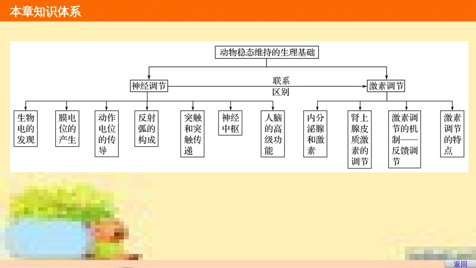 高中生物 第一单元 生物个体的稳态与调节 第一章 植物生命活动的调节章末整合课件 中图版必修3 (36)_第3页