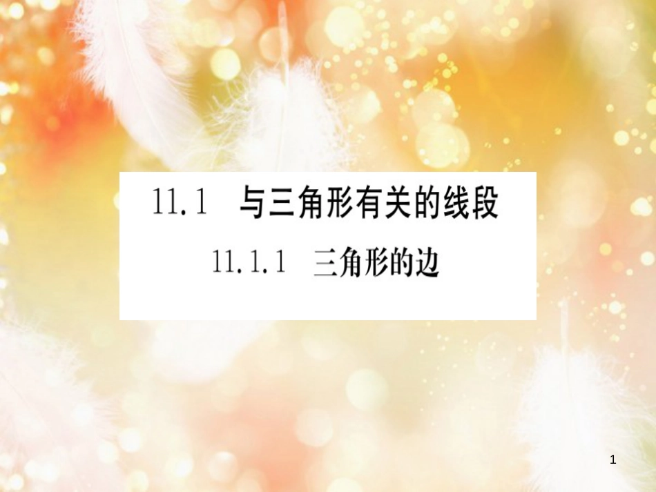 八年级数学上册 第十一章 三角形 11.1 与三角形有关的线段 11.1.1 三角形的边习题讲评课件 （新版）新人教版_第1页