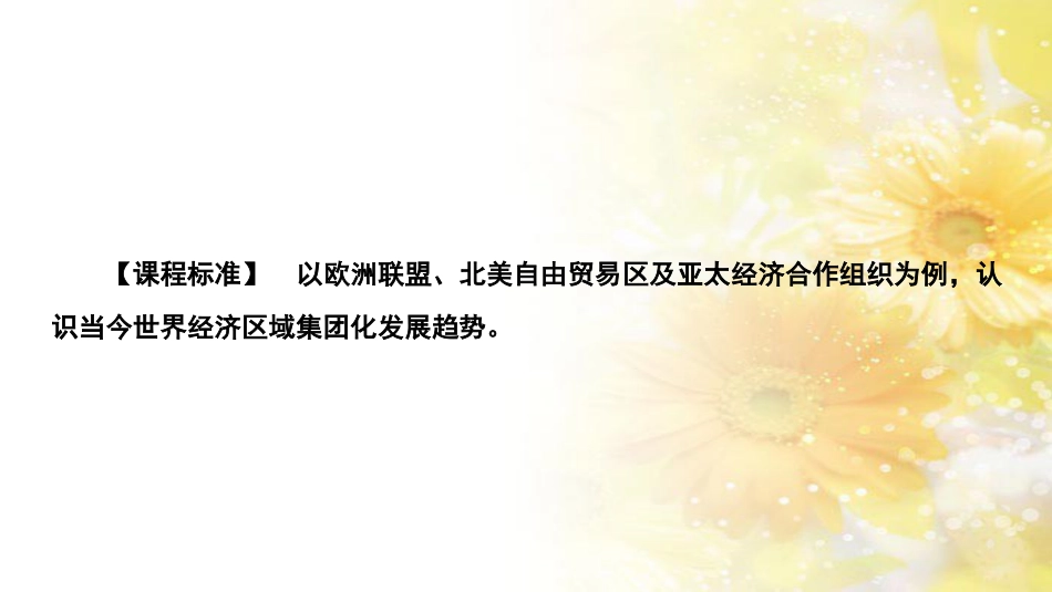 高中历史 专题八 当今世界经济的全球化趋势 2 当今世界经济区域集团化的发展课件 人民版必修2_第2页