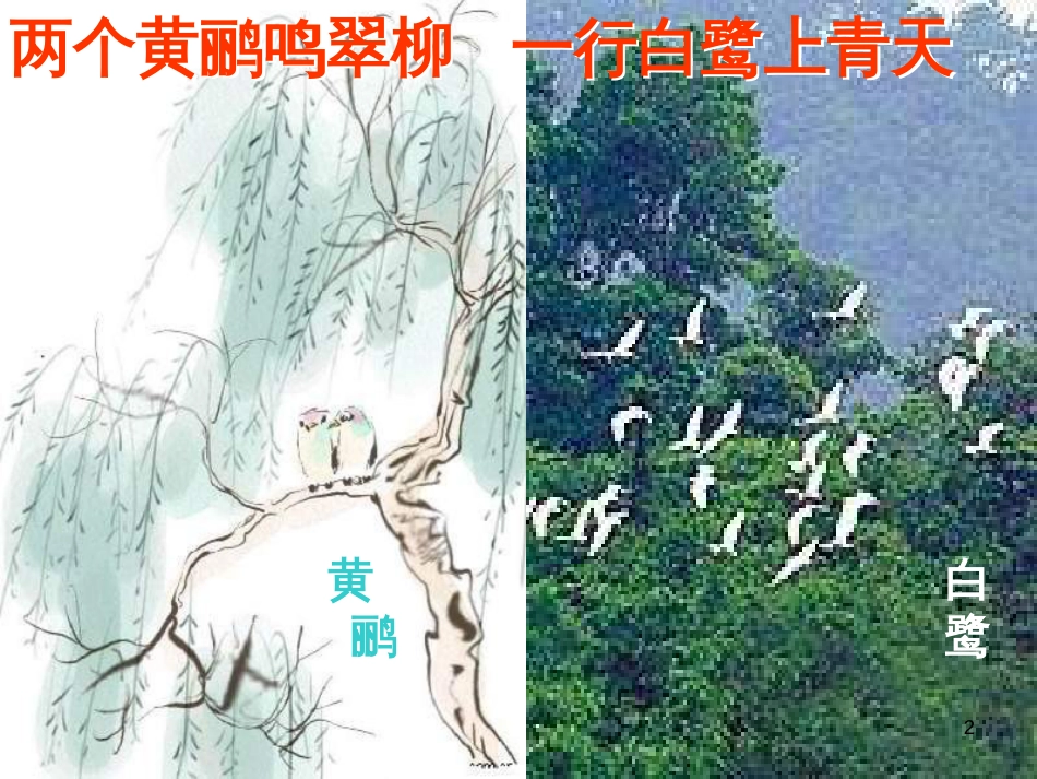 八年级生物上册 17.1《动物在生物圈中的作用》课件3 （新版）北师大版_第2页