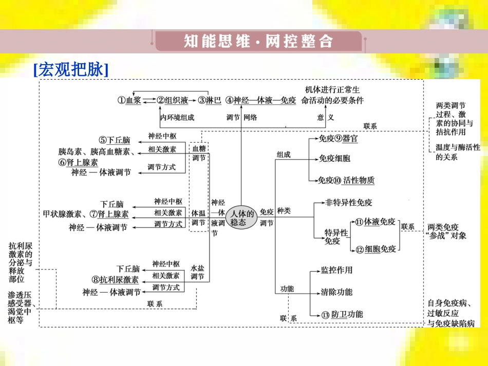 高中生物 第7章 第2节 现代生物进化理论的主要内容课件 新人教版必修2 (11)_第3页