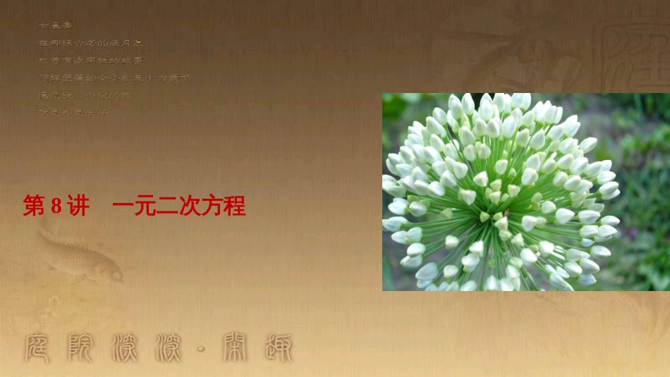 中考数学总复习 专题8 动点问题探究（二）课件 (44)_第1页