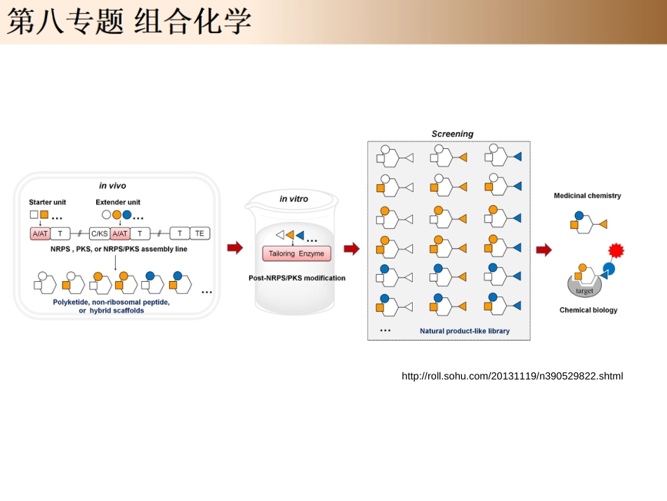 (100)--8.1.1 组合化学的基本原理_第1页