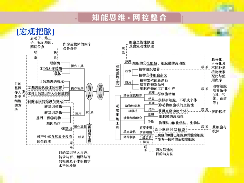 高中生物 第7章 第2节 现代生物进化理论的主要内容课件 新人教版必修2 (13)_第3页