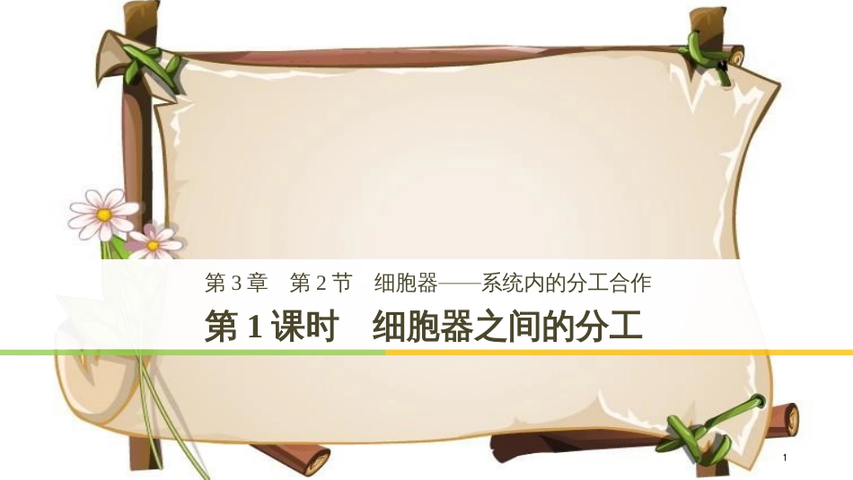 （全国通用版）高中生物 第三章 细胞的基本结构 第2节 第1课时 细胞器之间的分工课件 新人教版必修1_第1页