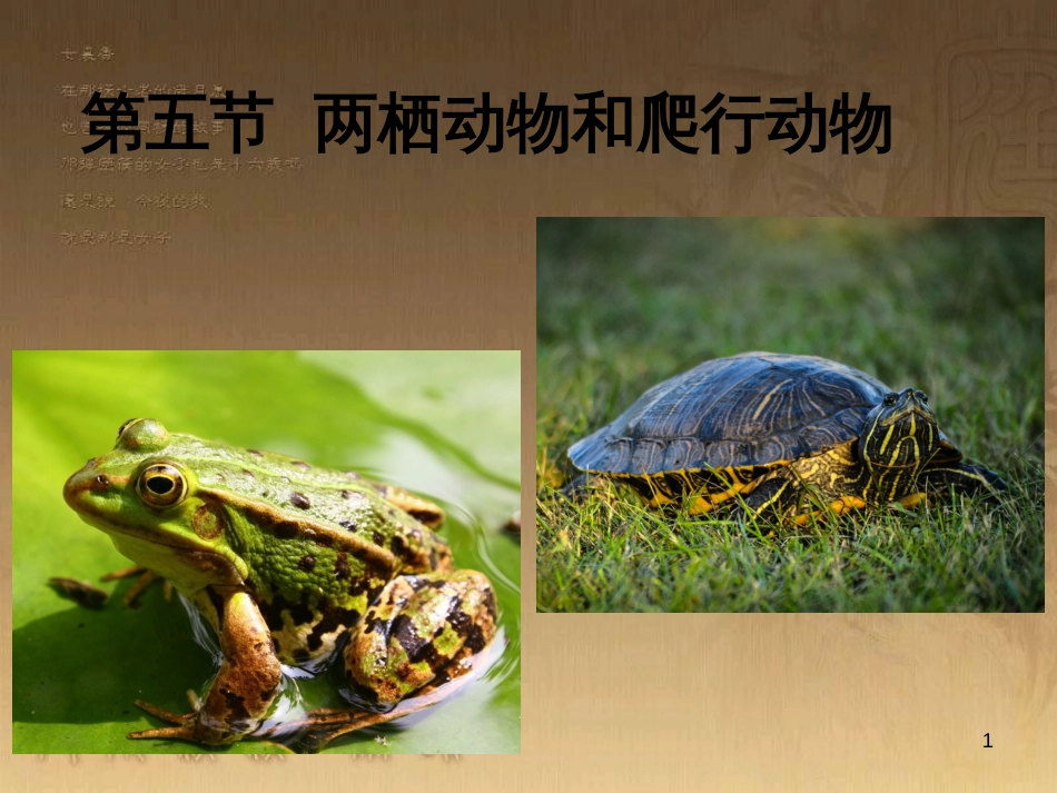 七年级生物上册 第二单元 第一章 第一二节综合课件 （新版）新人教版 (3)_第1页