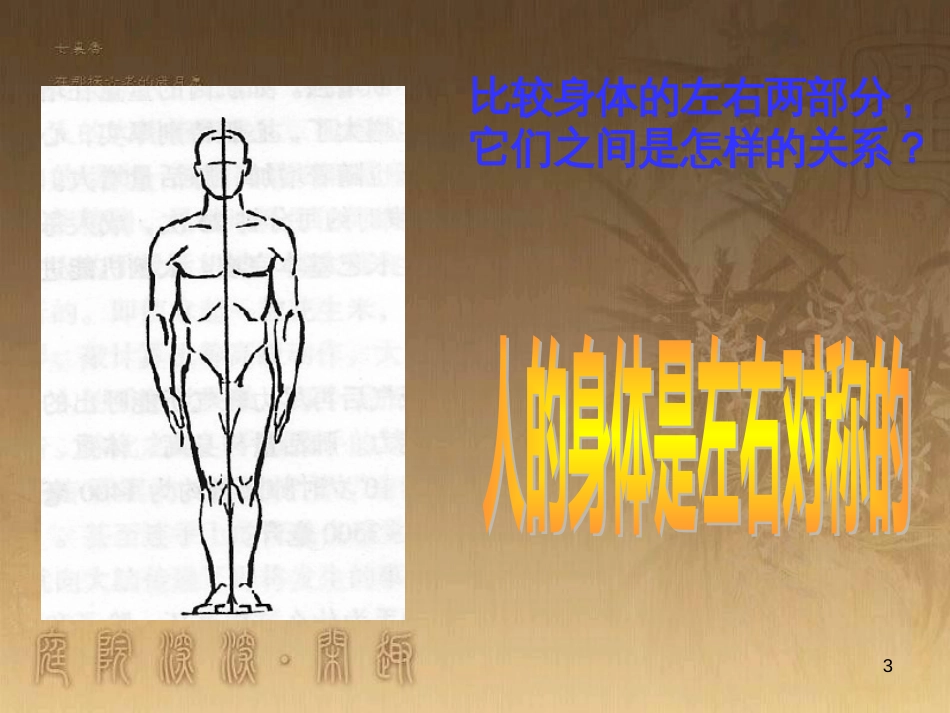 五年级科学上册 第4课 我们的身体课件1 青岛版_第3页