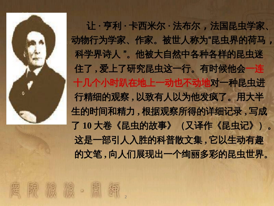 四年级语文上册 第四单元 蝉课件4 鄂教版_第2页