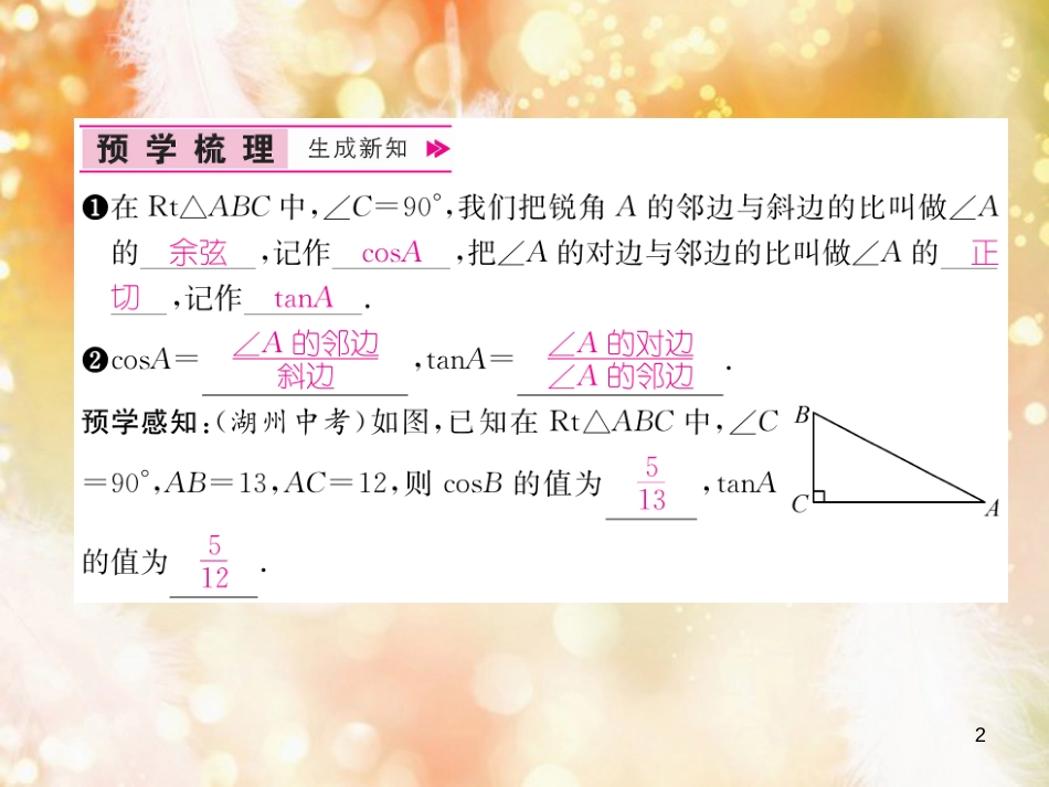 （遵义专版）九年级数学下册 第28章 锐角三角函数 28.1 锐角三角函数 第2课时 锐角的余弦和正切习题课件 （新版）新人教版_第2页