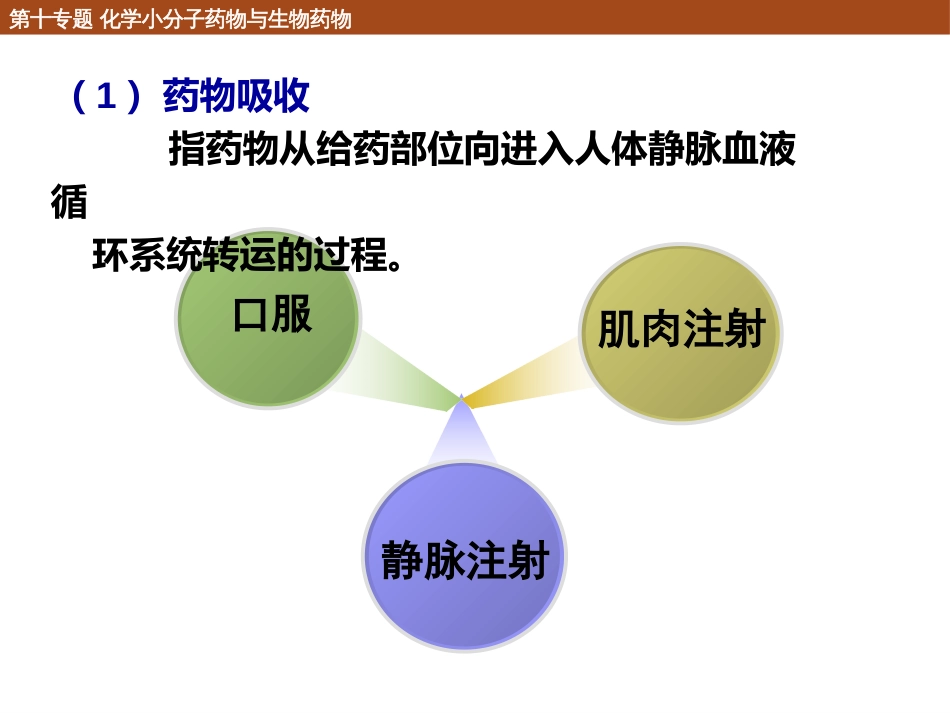 (118)--10.1.5 药物动力学化学生物学导论_第2页