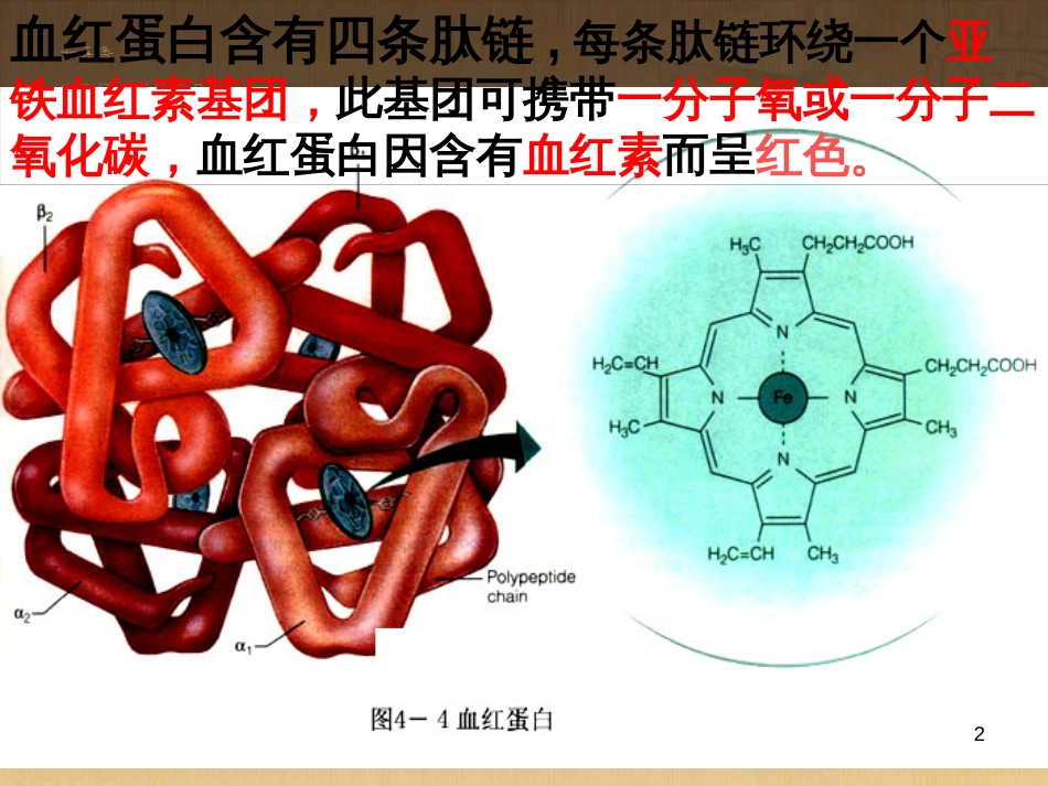 高中生物 第一章 传统发酵技术的应用 1.2 腐乳的制作课件 新人教版选修1 (14)_第2页