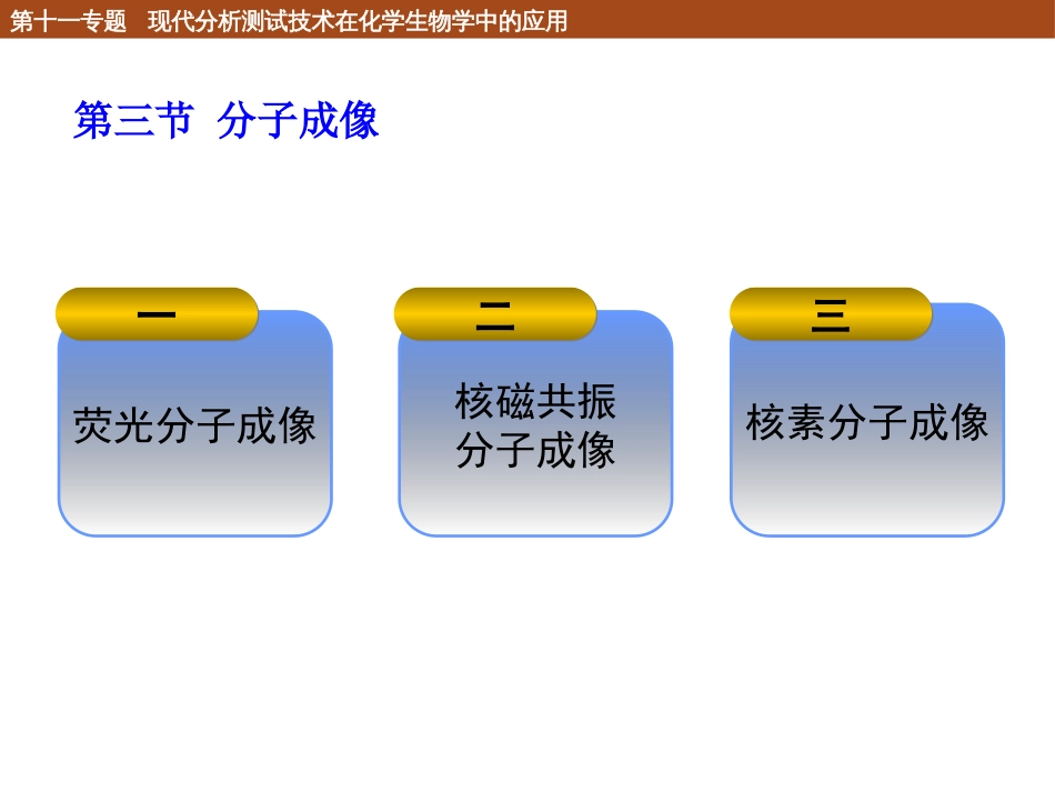 (134)--11.3.1 荧光分子成像_第2页