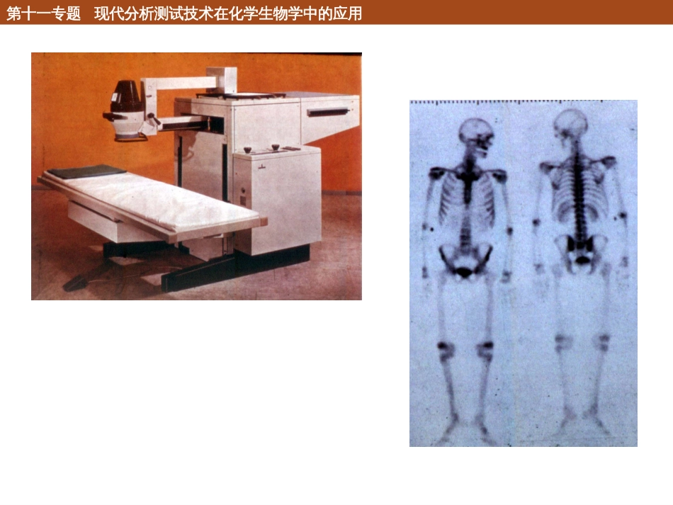 (140)--11.3.4核素分子成像_第3页