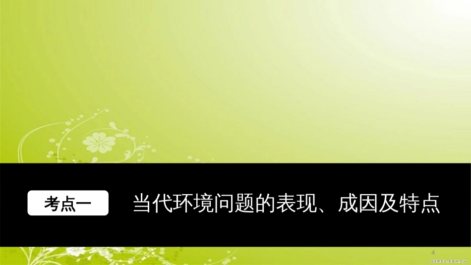 当代环境问题的产生及其特点及解决措施（PPT 48页)_第3页